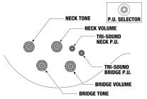 Galerijní obrázek č.5 Alternativní IBANEZ AR420-TBG - Transparent Blue Gradation