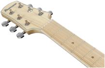 Galerijní obrázek č.7 Dreadnought IBANEZ AAD77M1E-OAW - Open Pore Antique White