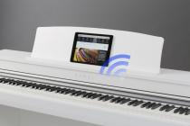 Galerijní obrázek č.2 Stage piana KAWAI CN37 W