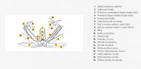 Galerijní obrázek č.4 Nářadí LEATHERMAN CHARGE PLUS TTi