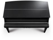Galerijní obrázek č.4 Digitální piana KAWAI Novus NV12