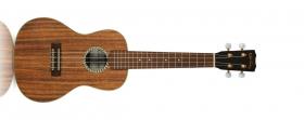 CORDOBA 25CK Concert Ukulele