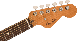 Galerijní obrázek č.4 Další tvary FENDER Highway Parlor - Mahogany