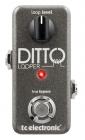 TC ELECTRONIC Ditto Looper