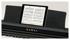 Galerijní obrázek č.4 Klávesy KAWAI CX202R - Rosewood