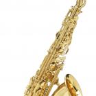 Galerijní obrázek č.2 Saxofony BUFFET CRAMPON BC8101-1-0 100 Series Eb Alto Saxophone