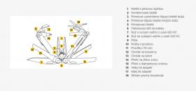 Galerijní obrázek č.3 Nářadí LEATHERMAN WAVE PLUS
