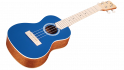 Galerijní obrázek č.1 Akustické kytary a ostatní CORDOBA 15CM Matiz - Classic Blue