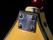 Galerijní obrázek č.7 Baskytary Migma Heinz Seifert Bass 60