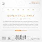 Galerijní obrázek č.1 Ostatní struny pro akustickou kytaru D'ADDARIO XSAPB1656