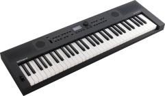Galerijní obrázek č.1 Keyboardy s dynamikou ROLAND GO:KEYS 5 - Graphite