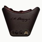 Galerijní obrázek č.2 Akustické L.R.BAGGS EAS VTC