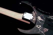 Galerijní obrázek č.1 Superstrat IBANEZ JEM77 FP2 Rosewood Fingerboard - Floral Pattern 2