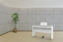 Galerijní obrázek č.1 Digitální piana KORG B1-WH