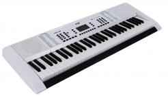 Galerijní obrázek č.1 Keyboardy s dynamikou FOX 168 WH