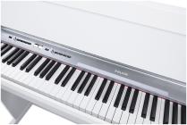 Galerijní obrázek č.1 Digitální piana NUX NCK-330 - White