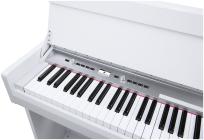 Galerijní obrázek č.3 Digitální piana NUX NCK-330 - White