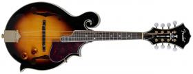 Hlavní obrázek Mandolíny, ostatní FENDER FM-63SE Mandolin