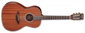 TAKAMINE GY11ME Natural Satin
