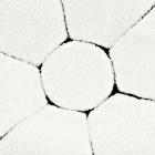 Galerijní obrázek č.1 Obaly na perkuse MEINL Sonic Energy HDB Harmonic Art Bag