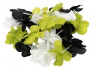 Galerijní obrázek č.1 Příslušenství pro ukulele HENRY’S Lifestyle HN