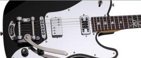 Galerijní obrázek č.1 T - modely SCHECTER Pete Dee Signature Black