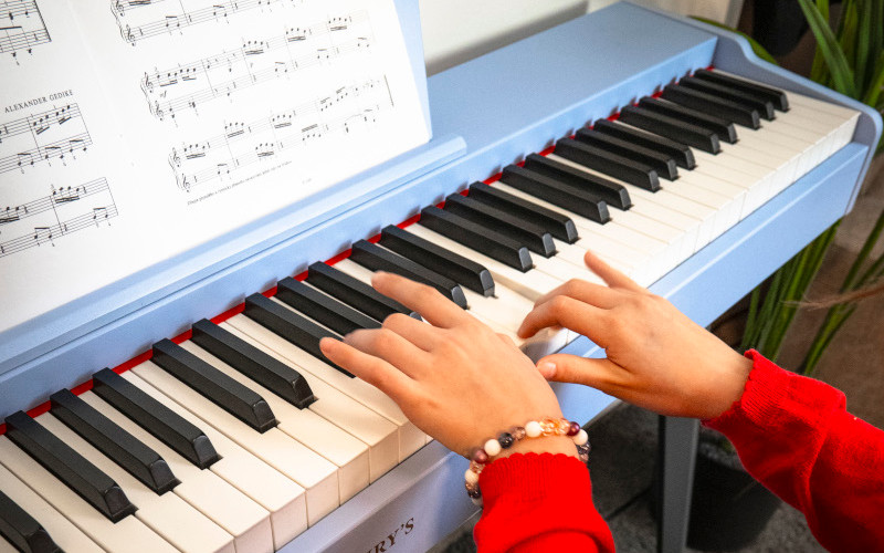 HENRY’S Jr. Vila DPV055 detail klávesnice Vila